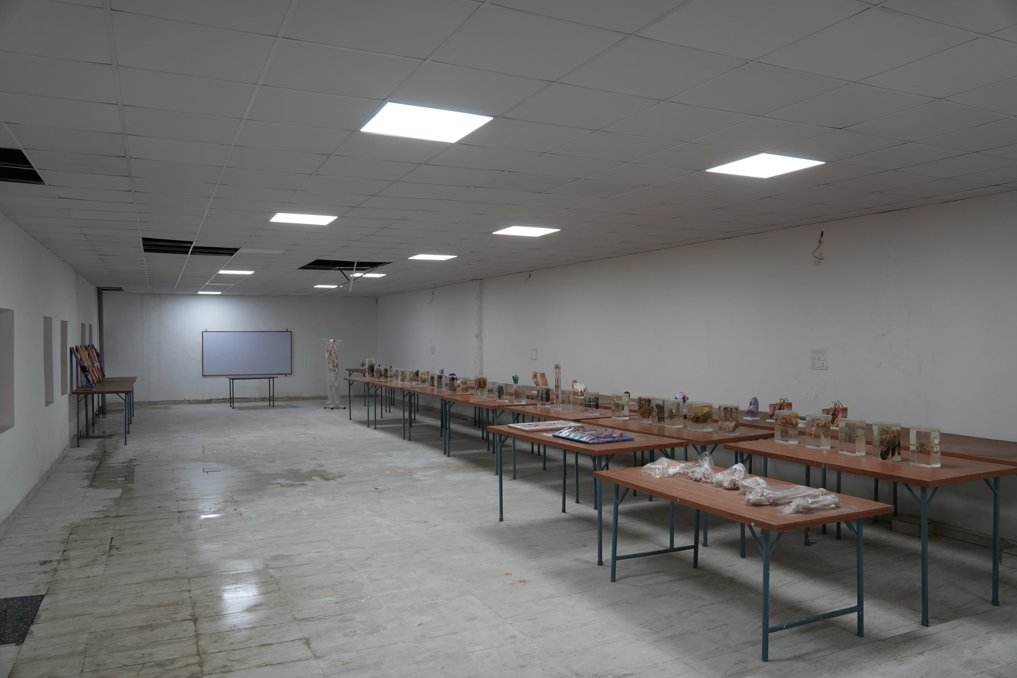 Medical Museum